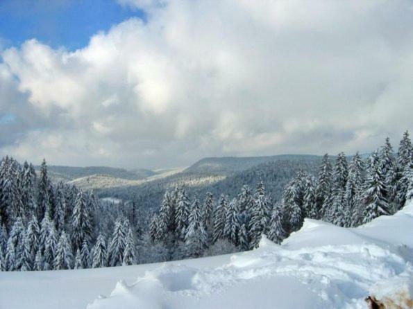 Les Chenes Rouges Lägenhet Gérardmer Exteriör bild